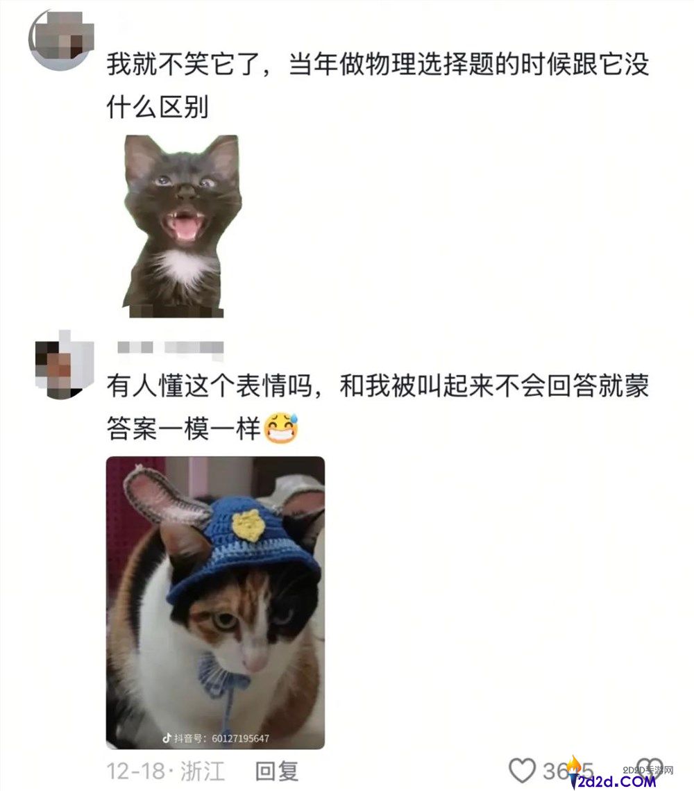 一只不会答题只会蒙的“笨猫”,凭什么承包全网笑点？