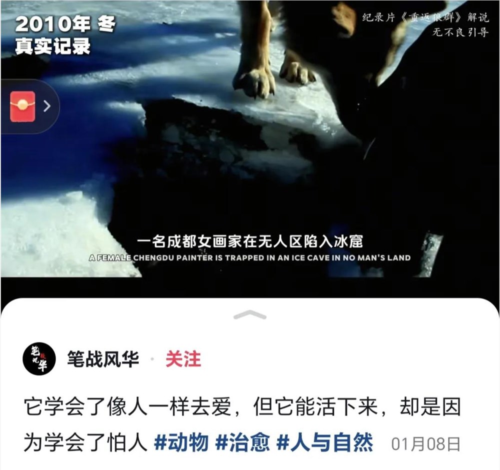 一部2017年的记载片,在社交媒体周全翻红