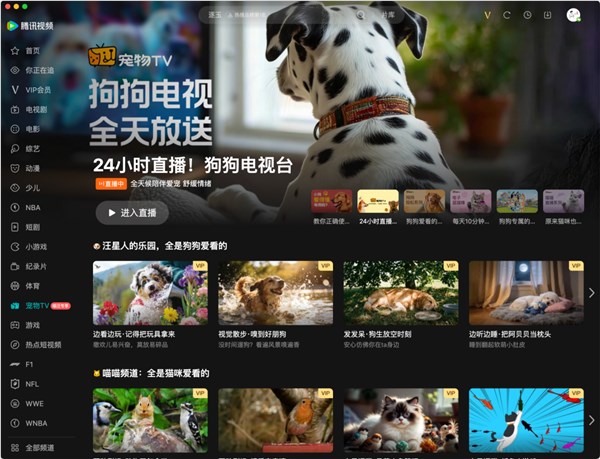 腾讯视频宠物TV上线,专给猫、狗看 减缓孤苦拆家