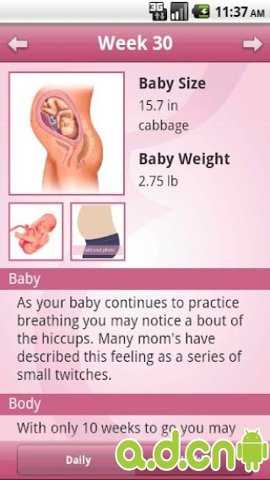 BabyBump下载