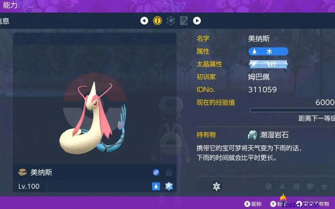 宝可梦朱紫六星太晶坑怎么打