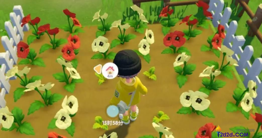 心动小镇花卉怎么杂交