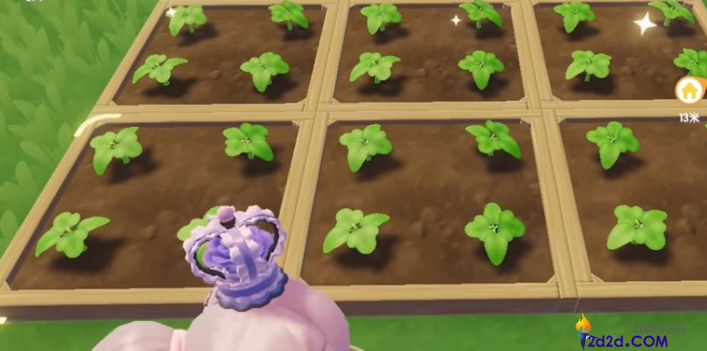 心动小镇花卉怎么杂交