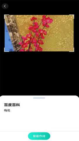 趣萌识别官方下载