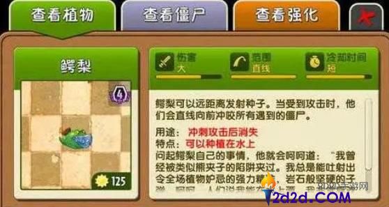 植物大战僵尸2鳄梨怎么样