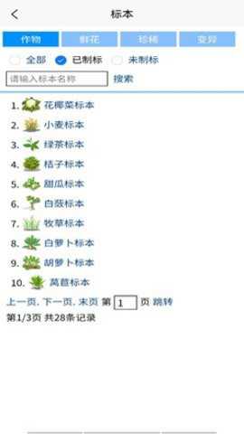 3G阳光牧场游戏下载