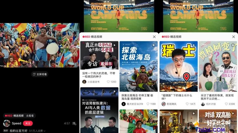 深入了解小红书精选:全面解析与使用指南