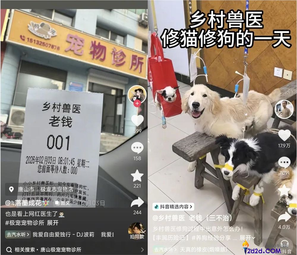 年轻人拒绝带猫狗看病,村庄兽医逆袭成500万粉丝顶流