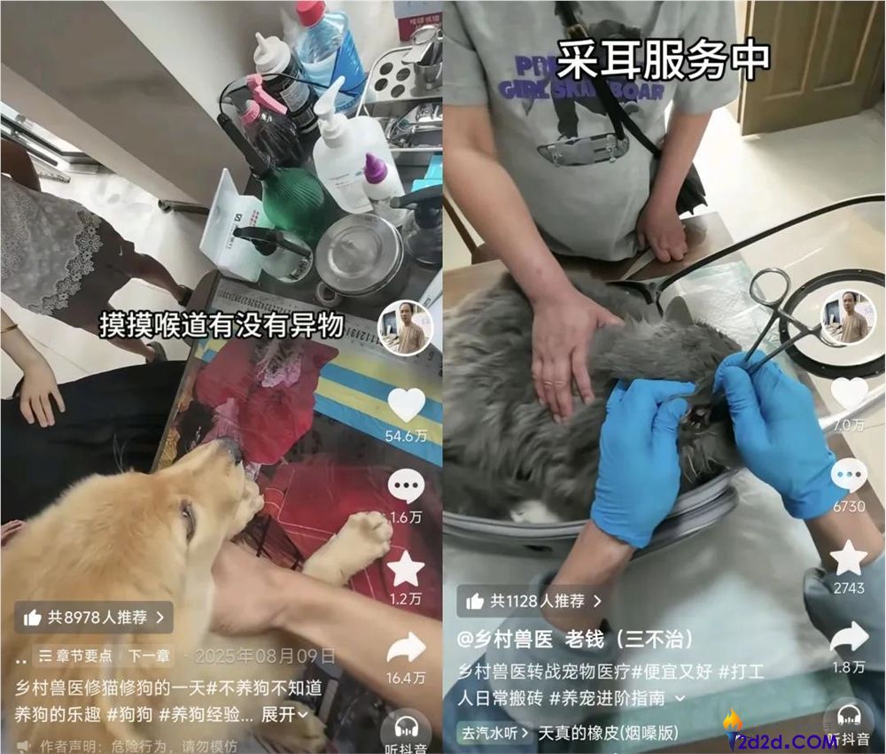 年轻人拒绝带猫狗看病,村庄兽医逆袭成500万粉丝顶流