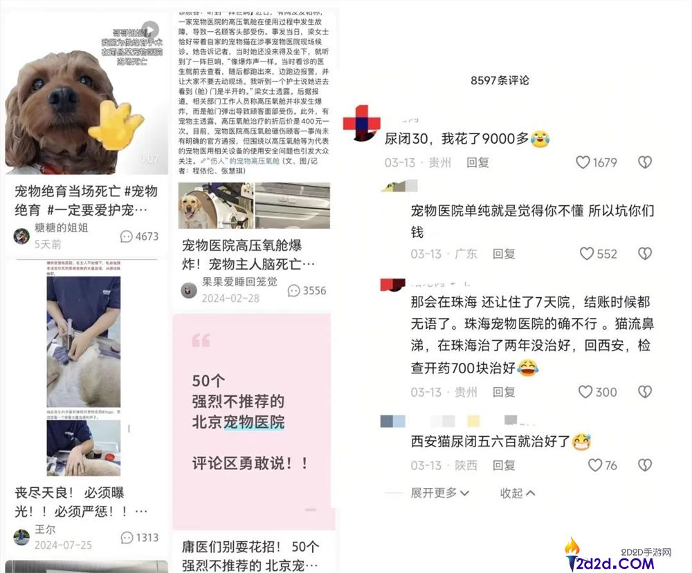年轻人拒绝带猫狗看病,村庄兽医逆袭成500万粉丝顶流