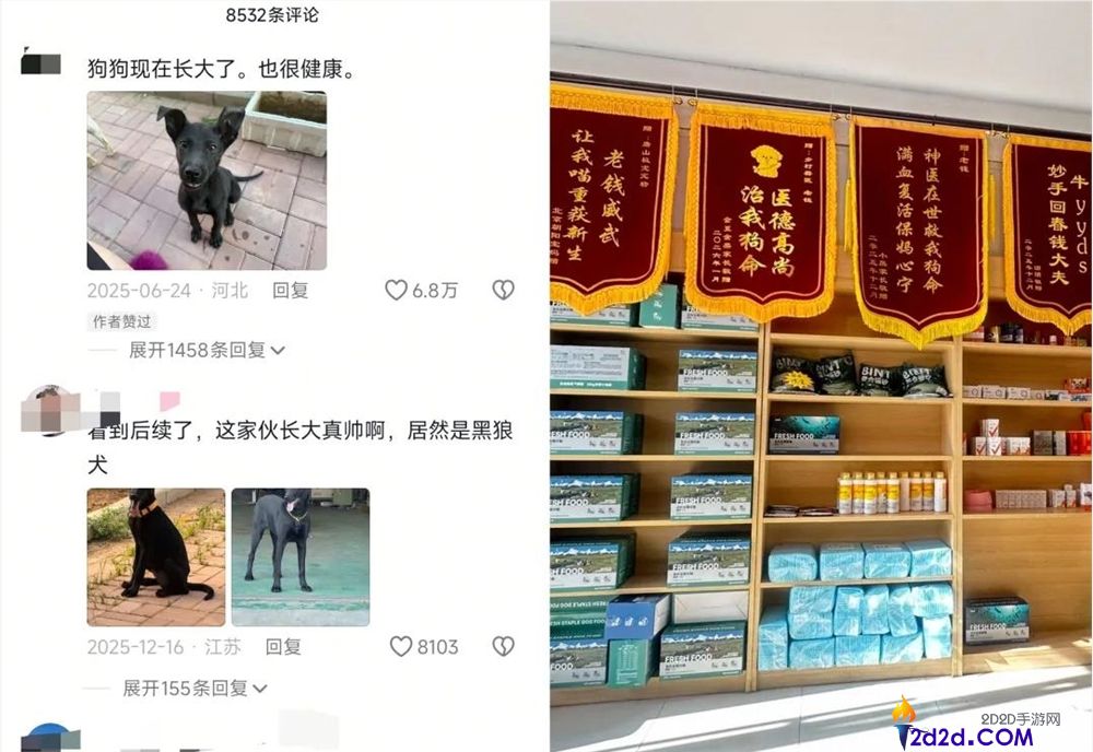 年轻人拒绝带猫狗看病,村庄兽医逆袭成500万粉丝顶流