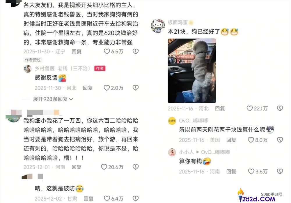 年轻人拒绝带猫狗看病,村庄兽医逆袭成500万粉丝顶流