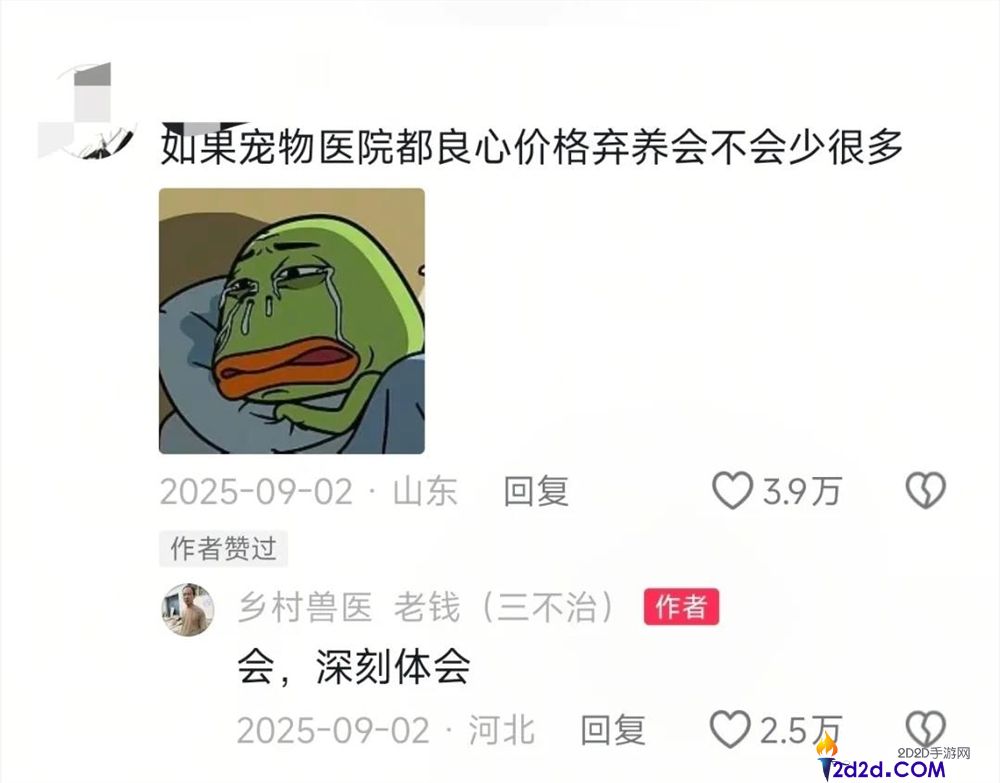 年轻人拒绝带猫狗看病,村庄兽医逆袭成500万粉丝顶流