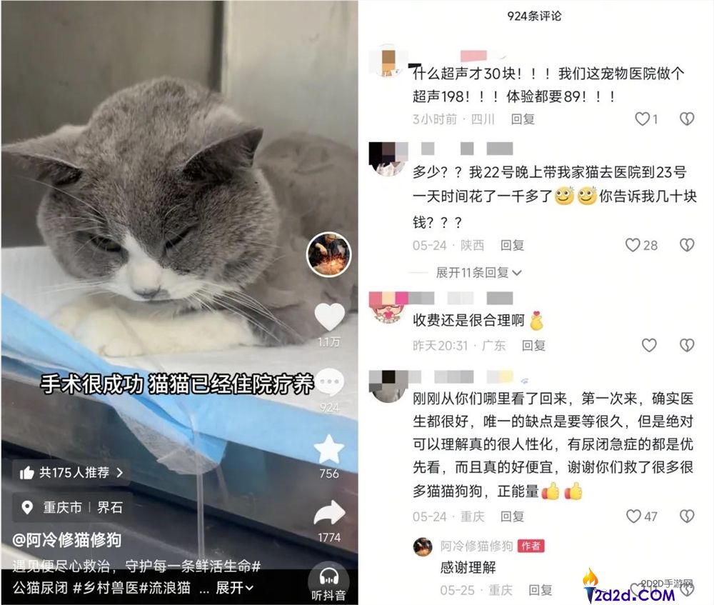 年轻人拒绝带猫狗看病,村庄兽医逆袭成500万粉丝顶流