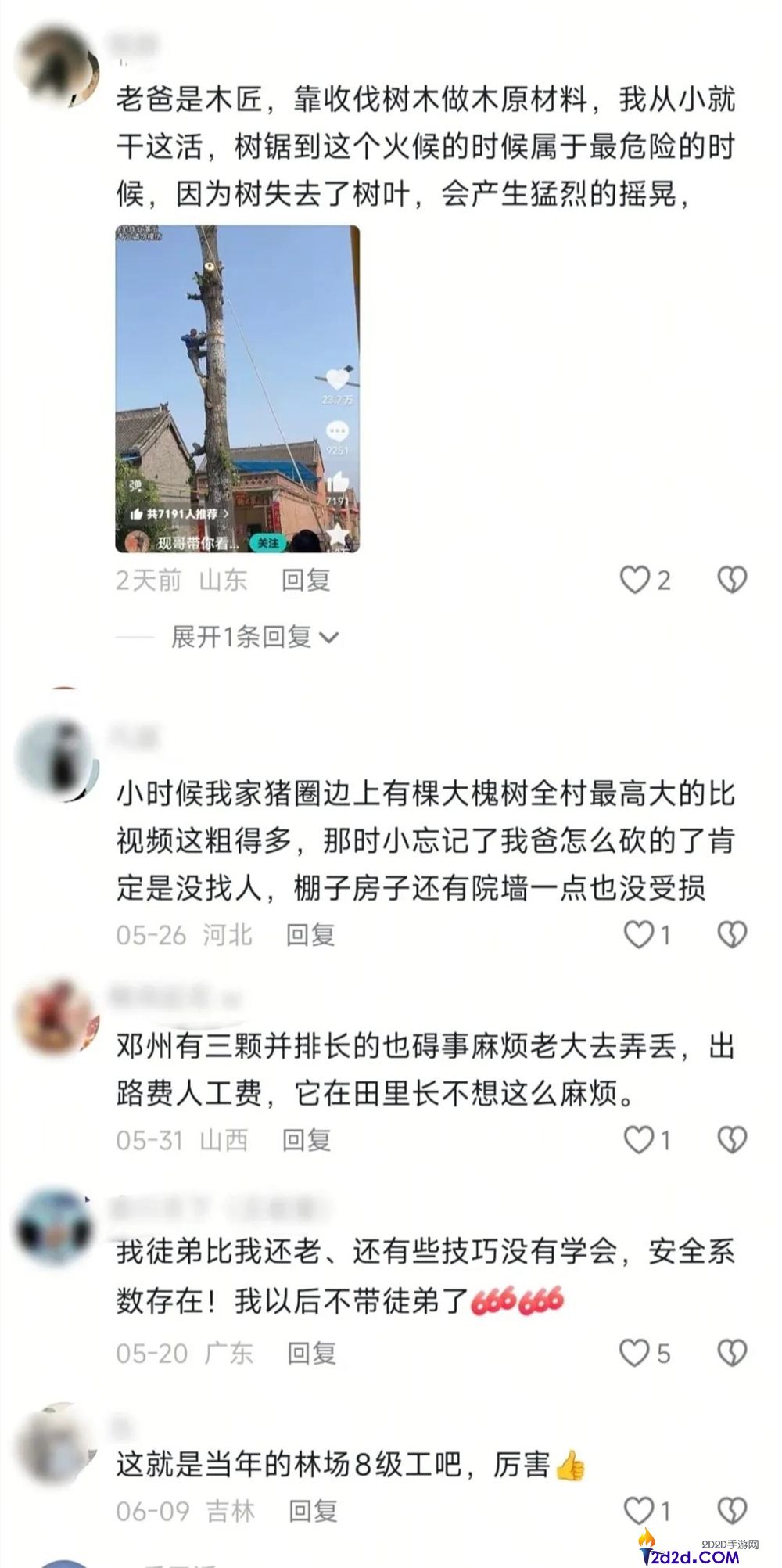 “修驴蹄和修锅之后,‘砍树’成为抖音新晋热门趋势”