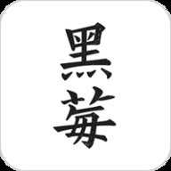 黑莓小说去广告版