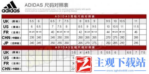 “三叶码”新潮流-笑看科技圈“鞋码战争”！