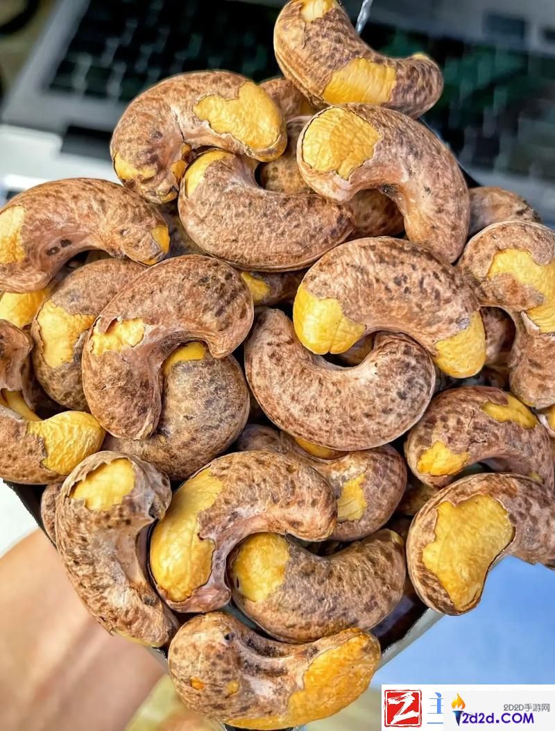 "蘑菇版图钉弹！apk的突破记录