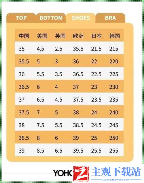 欧亚尺码专线欧洲-B1B1：探索其独特魅力与广泛应用