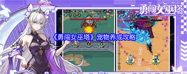 《勇闯女巫塔》宠物养成攻略：培养宠物的最佳方式