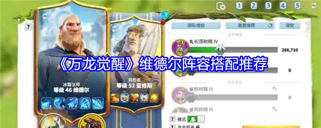 《万龙觉醒》维德尔阵容搭配推荐：维德尔的最佳阵容搭配
