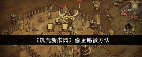 《饥荒新家园》偷企鹅蛋方法：如何巧妙偷取企鹅蛋