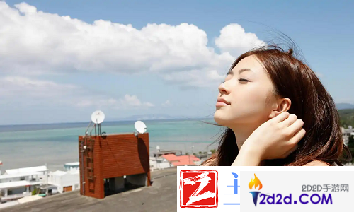 暴躁少女免费看高清电视剧