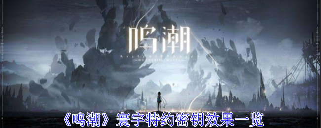 《鸣潮》寰宇特约密钥效果一览：揭开寰宇特约密钥的强大效果