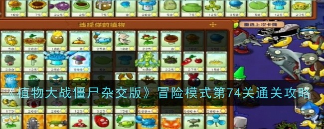 《植物大战僵尸杂交版》冒险模式第74关通关攻略：通关第74关的攻略