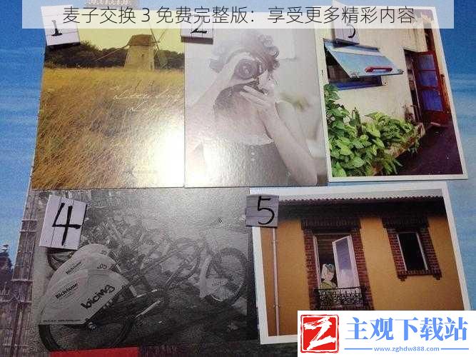 麦子交换3免费完整版-享受更多精彩内容