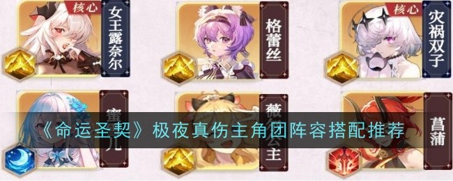 《命运圣契》极夜真伤主角团阵容搭配推荐：极夜阵容的最佳搭配