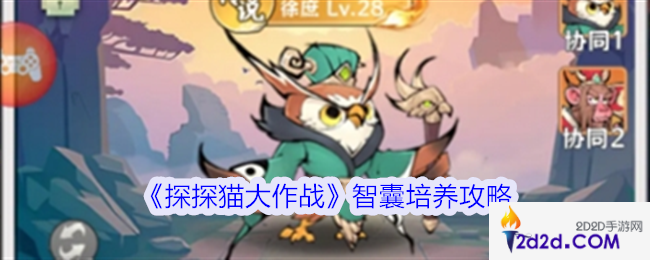 探探猫大作战智囊怎么培养