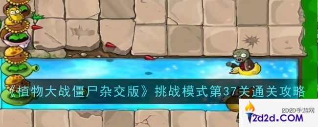 植物大战僵尸杂交版挑战模式第37关怎么样