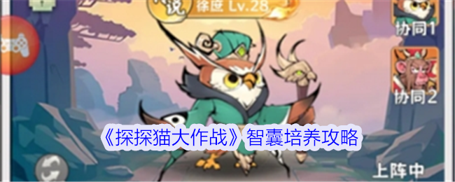 《探探猫大作战》智囊培养攻略：提升智囊的策略与技巧
