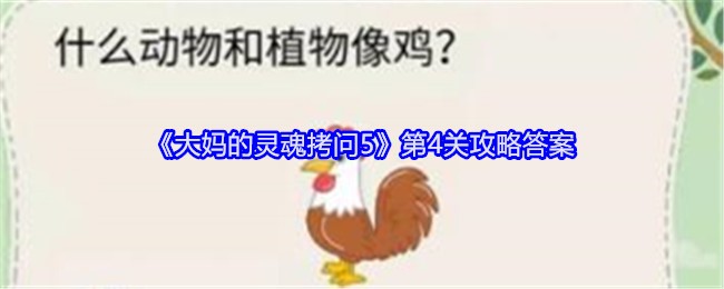 《大妈的灵魂拷问5》第4关攻略答案：顺利过关的解题技巧