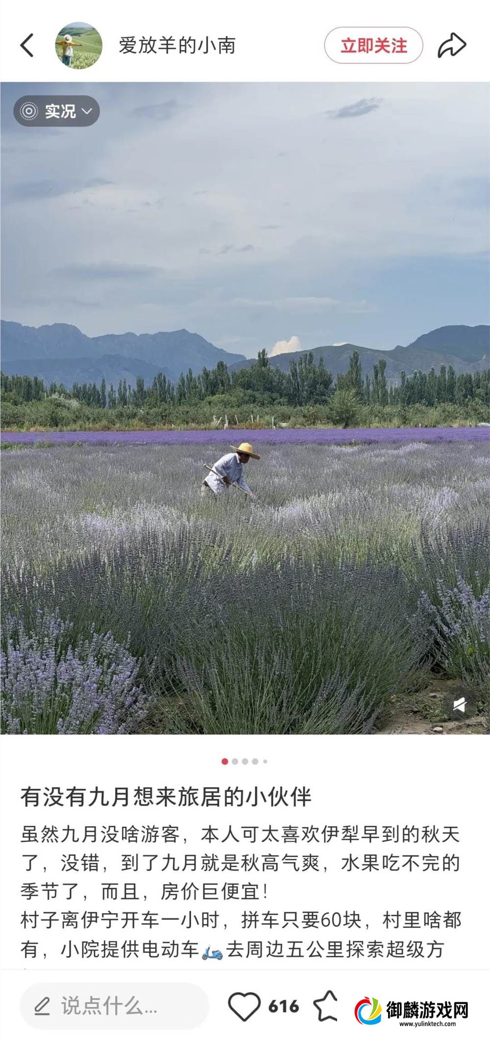 从理光到大疆,年青人在追逐什么样的新相机