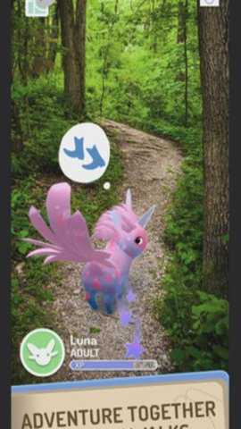 精灵宝可梦peridot游戏下载