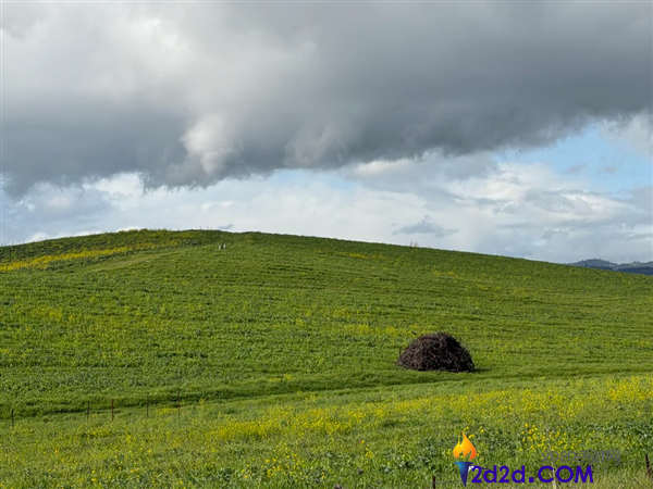 30年未变,路人抓拍Windows XP经典壁纸原景,重现1996年局面