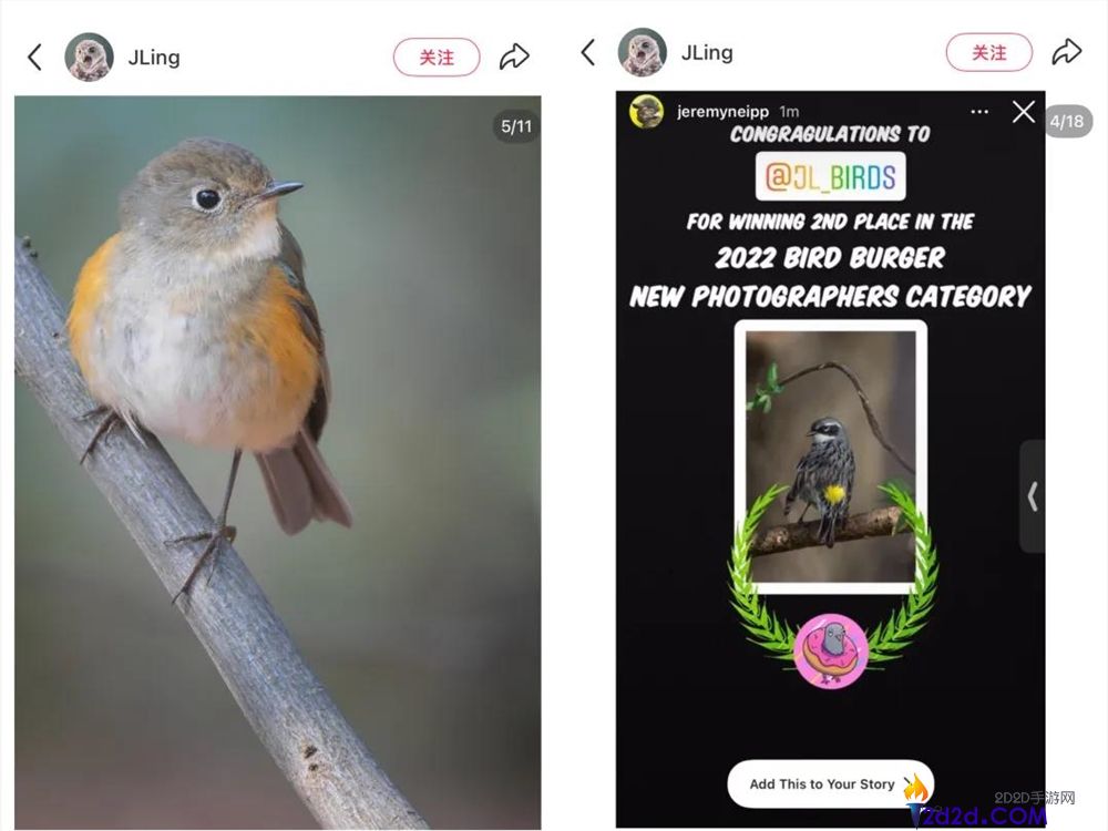 播放量超10亿,年青人纷纭掉入“鸟门”