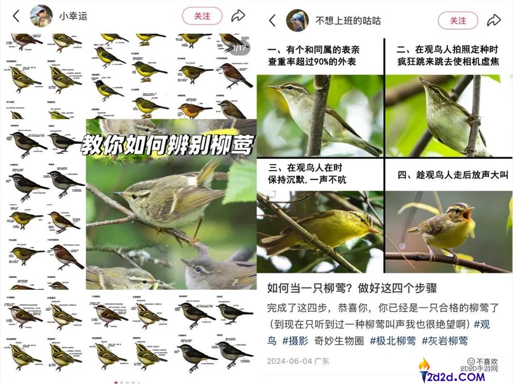 播放量超10亿,年青人纷纭掉入“鸟门”