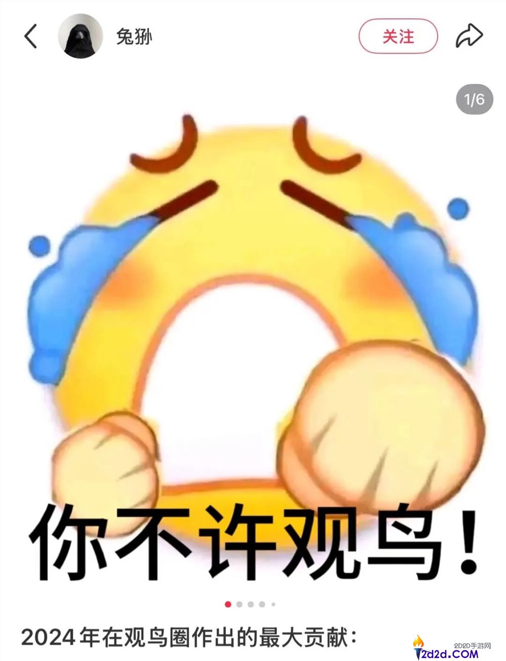 播放量超10亿,年青人纷纭掉入“鸟门”