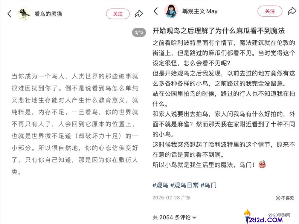 播放量超10亿,年青人纷纭掉入“鸟门”