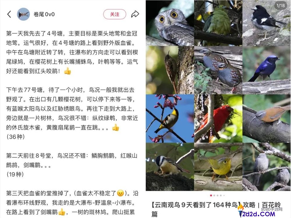 播放量超10亿,年青人纷纭掉入“鸟门”