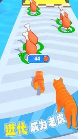 猫咪进化论手游官方版游戏下载