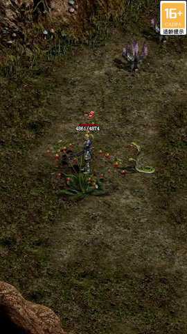 天龙传世手游下载