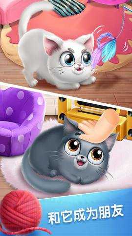口袋猫咪游戏下载