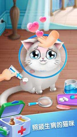 口袋猫咪游戏下载