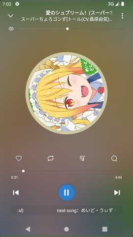 Rplayer本地音乐播放器破解版下载