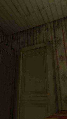 恐怖奶奶5游戏下载