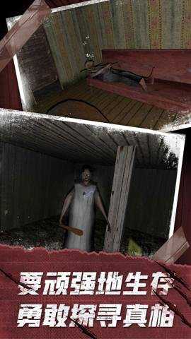 恐怖奶奶3D游戏下载